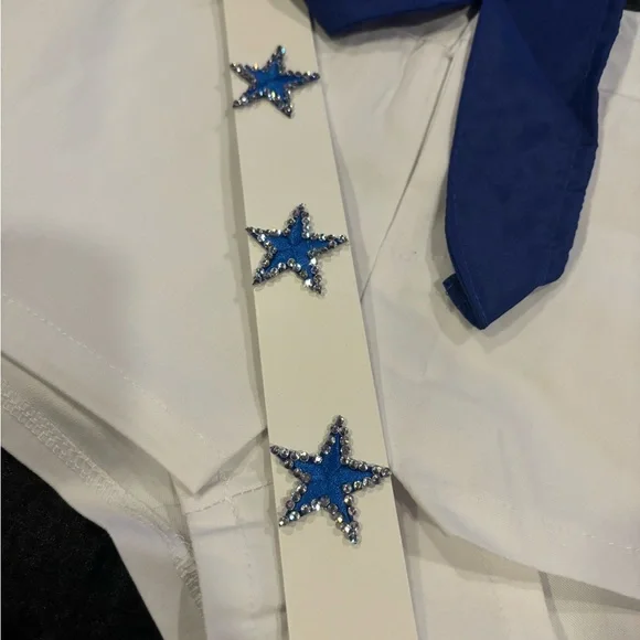 DCC cheerleader rhinestone Halloween costume - Picture 3 of 6